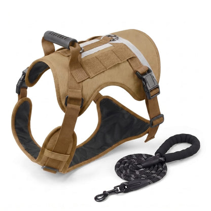 Harnais pour chien TactiGuard beige présenté avec sa laisse assortie, vue packshot