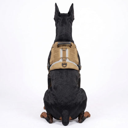 Vue de dos d'un chien portant le harnais pour chien TactiGuard beige