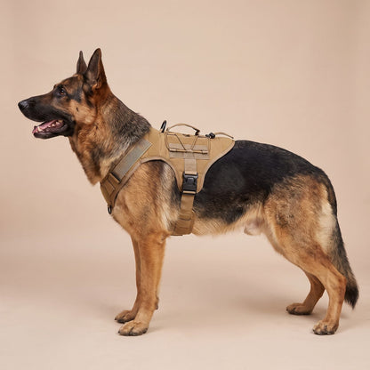 Harnais tactique chien CanisForce coloris coyote, vue de profil