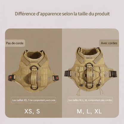 harnais tactique chien beige sable canisforce profil ergonomique maintien confortable dos et poitrine