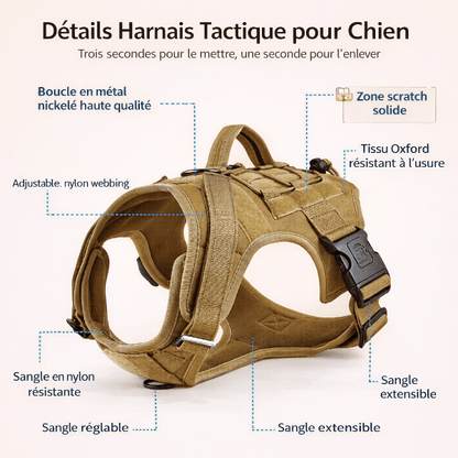 harnais tactique chien details tissu oxford scratch solide boucle metal sangle reglable renforcee