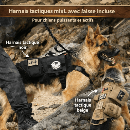 Harnais tactique pour chien noir et beige avec laisse incluse, ensemble harnais robuste pour chiens puissants et entraînement intensif.
