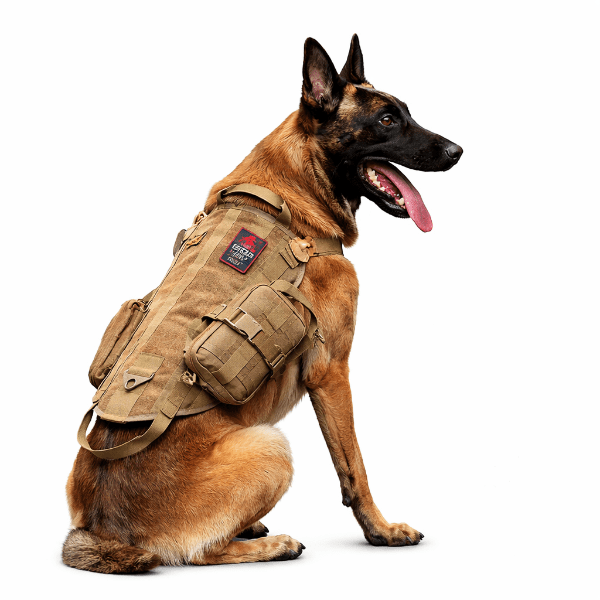 Harnais tactique pour chien de service, gilet militaire de travail avec poches latérales et fixation MOLLE
