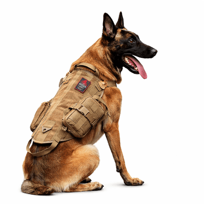 Harnais tactique pour chien de service, gilet militaire de travail avec poches latérales et fixation MOLLE
