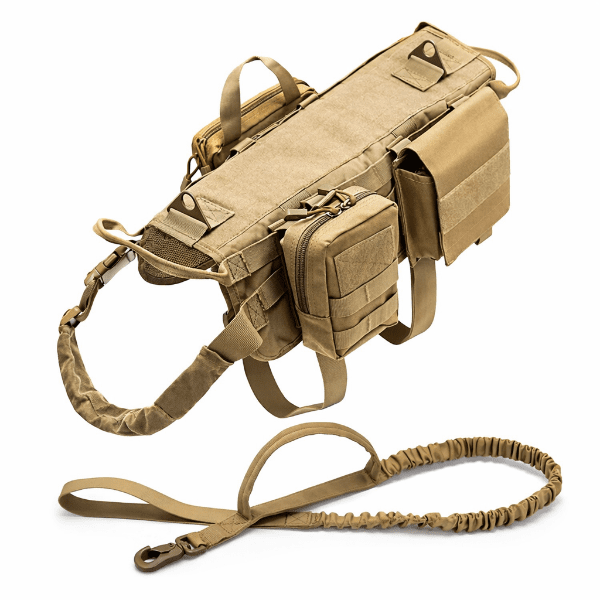 Harnais tactique pour chien sable avec ensemble poches MOLLE et laisse, harnais militaire pour chien actif