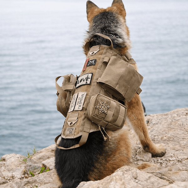 Harnais tactique pour chien outdoor avec poches militaires, kit harnais pour randonnée, sport et travail