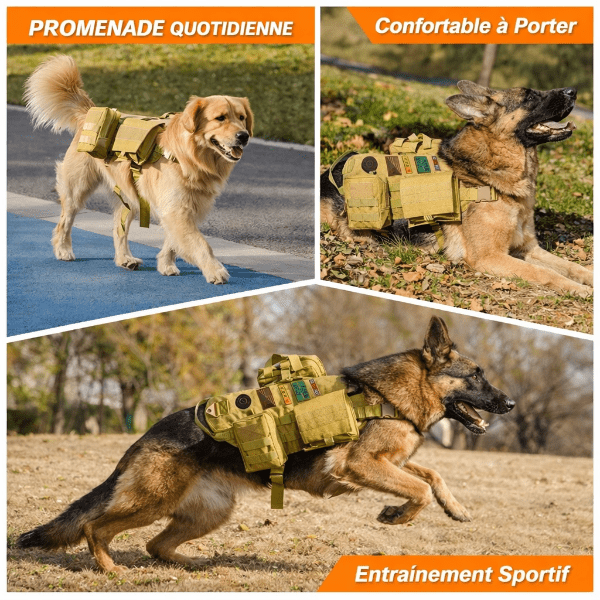 Harnais tactique pour chien pack complet avec sacoches, laisse et panneaux velcro, kit harnais militaire pour chiens actifs.