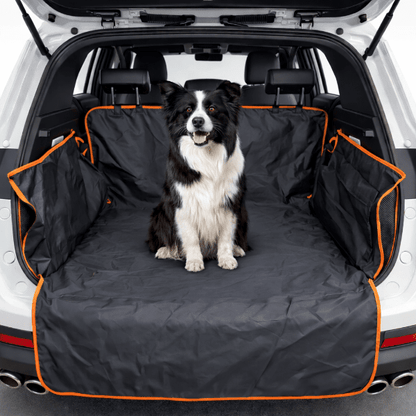Vue grand angle du coffre protégé, un chien noir et blanc est assis au centre, illustrant la protection intégrale du coffre.