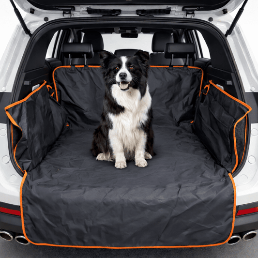 Vue grand angle du coffre protégé, un chien noir et blanc est assis au centre, illustrant la protection intégrale du coffre.