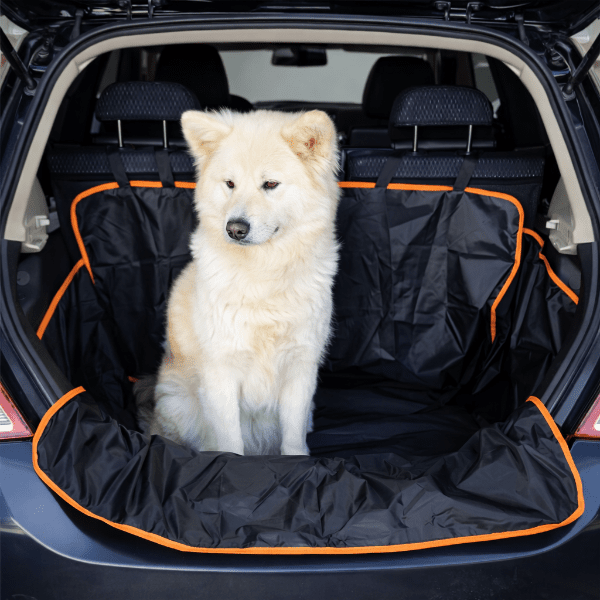 Chien blanc assis sur la housse installée dans le coffre d’un SUV, démontrant la couverture totale et l’espace disponible.