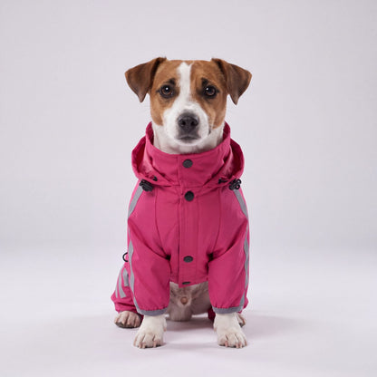 Jack Russell assis de face avec un imperméable rose à capuche, boutons-pression et bandes réfléchissantes, fond gris clair