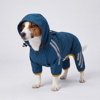 Jack Russell de trois-quarts avec la capuche relevée de l'imperméable chien bleu en studio
