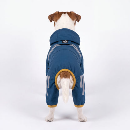 Imperméable chien bleu vu de dos sur un Jack Russell, bandes réfléchissantes et liseré jaune moutarde