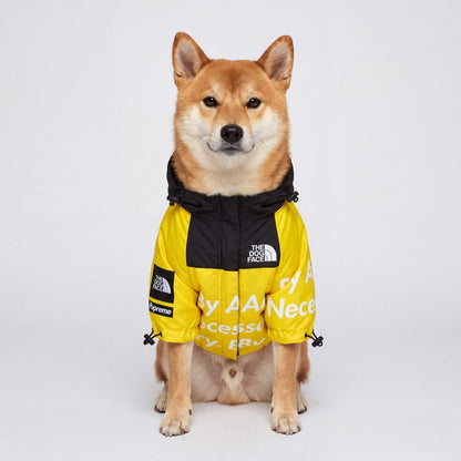 Imperméable chien coupe-vent jaune à capuche Chien store vue de face sur un Shiba Inu assis en studio sur fond blanc