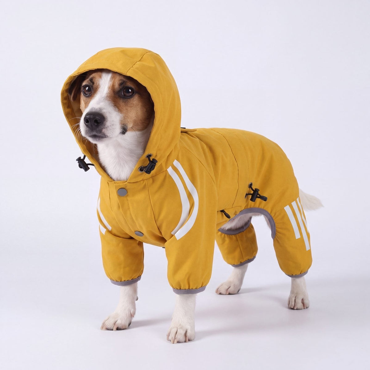 Chien de trois quarts avec capuche relevée dans un imperméable jaune en studio