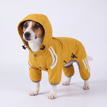 Chien de trois quarts avec capuche relevée dans un imperméable jaune en studio