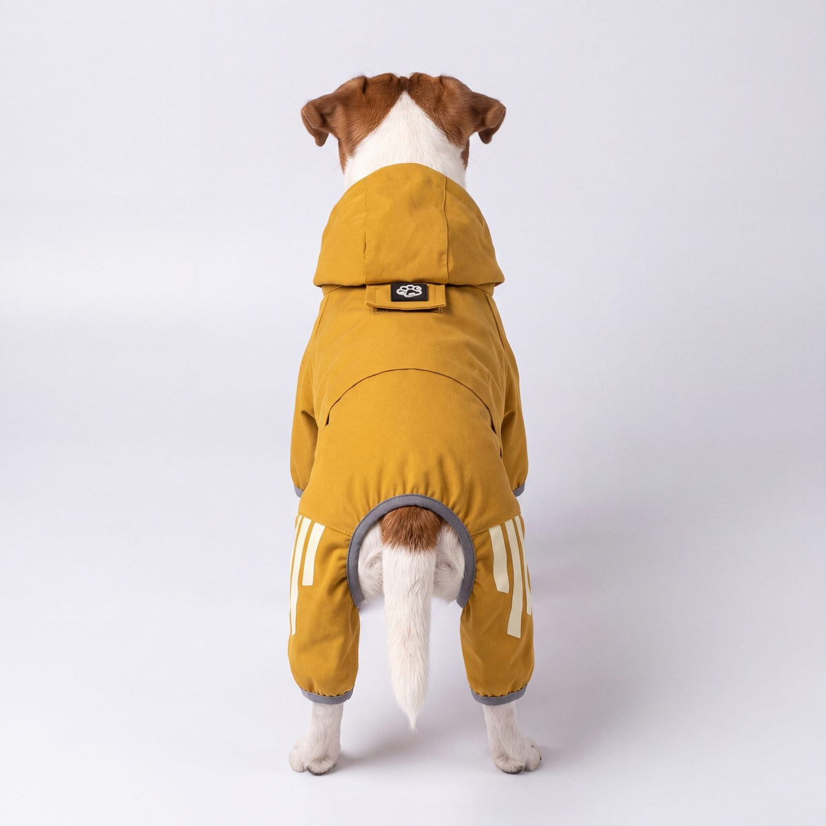 Chien vu de dos portant un imperméable jaune à capuche en studio