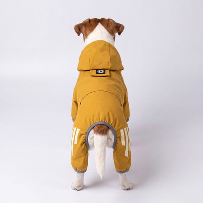 Chien vu de dos portant un imperméable jaune à capuche en studio