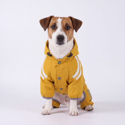Chien assis de face portant un imperméable jaune à capuche en studio