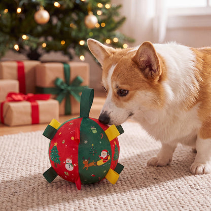 Corgi qui renifle la balle de Noël en tissu posée sur un tapis devant des cadeaux