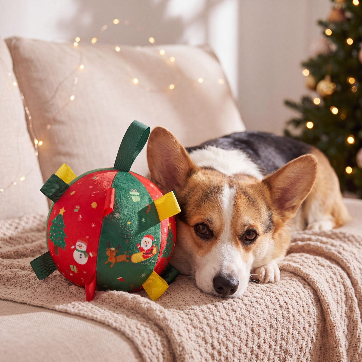 Corgi détendu sur un canapé avec un plaid à côté de la balle de Noël pour chien