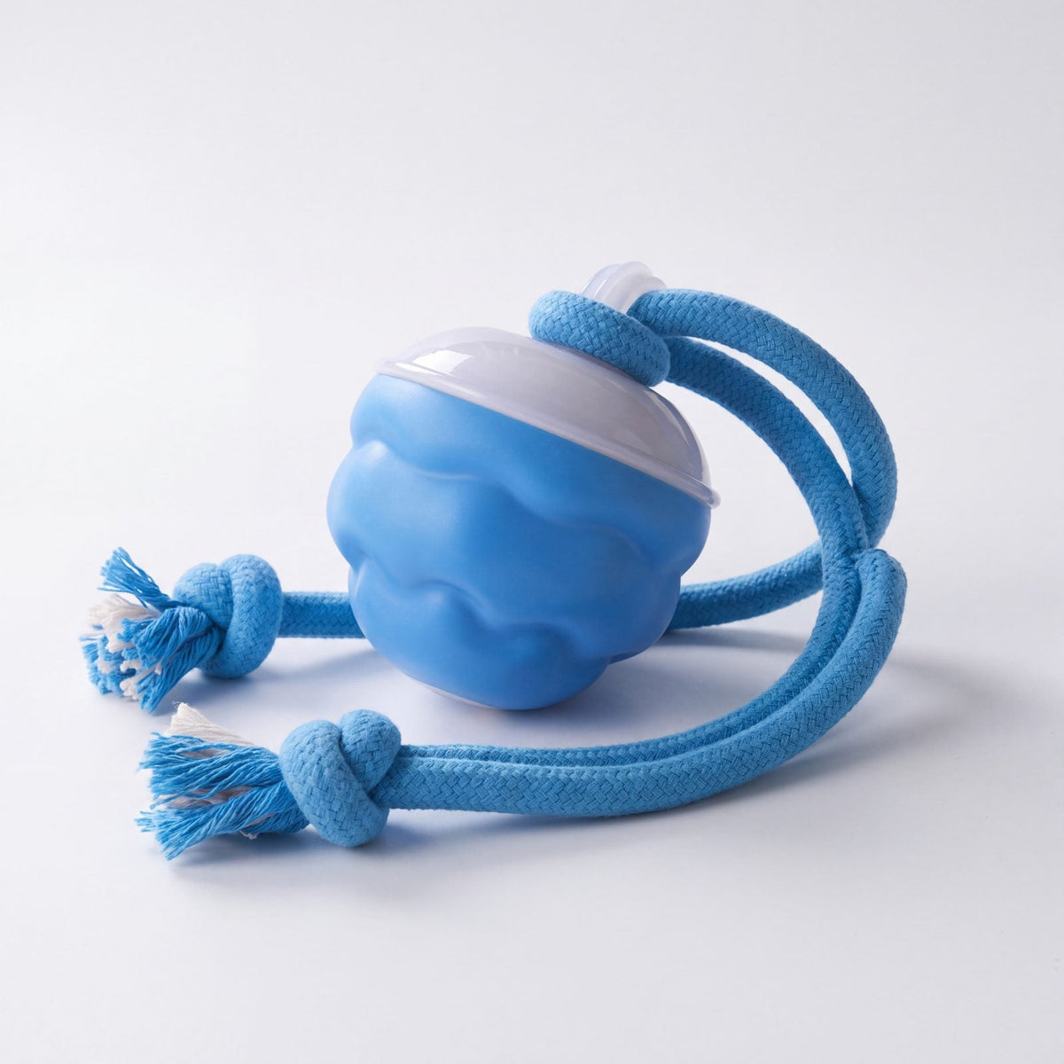 Jouet pour chien : balle bleue rechargeable avec corde nouée, photo studio sur fond blanc