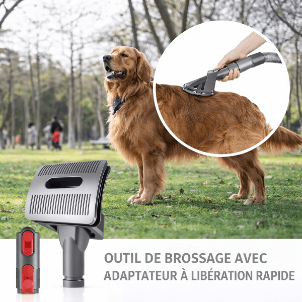 Brosse aspirante de toilettage pour chien compatible Dyson utilisée en extérieur pour éliminer les poils pendant le brossage