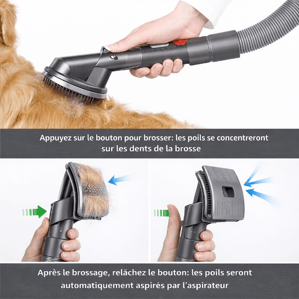 Appuyer sur le bouton de la brosse aspirante pour concentrer les poils sur les dents lors du toilettage du chien