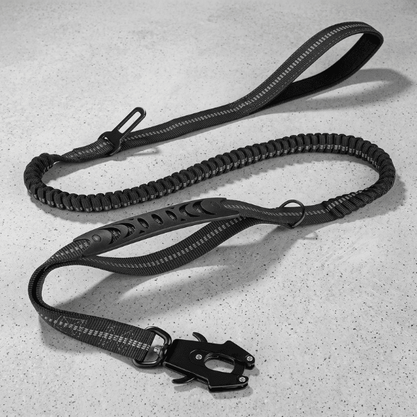 Laisse chien ControlMax Chien store noire avec élastique amortisseur et mousqueton en acier