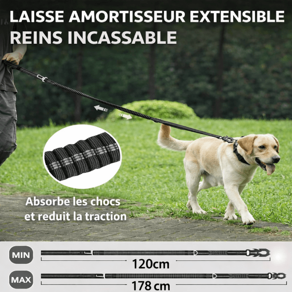 Laisse amortisseur sable avec mousqueton metal robuste et poignée rembourrée
