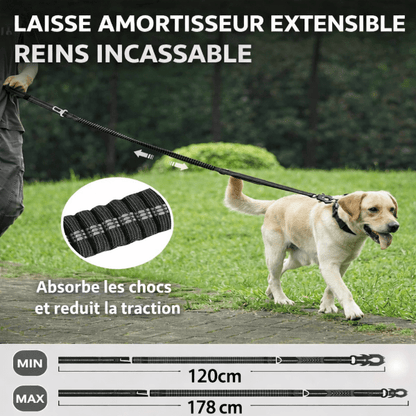 Laisse amortisseur sable avec mousqueton metal robuste et poignée rembourrée