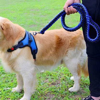 Laisse chien corde - golden retriever assis avec sa laisse tressée