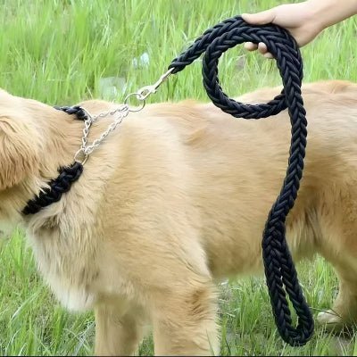 Laisse chien corde | Braided™ - Chien store