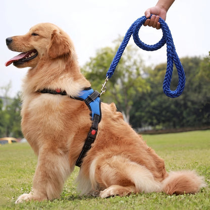 Laisse chien corde - gros plan sur la poignée rembourrée tenue en main