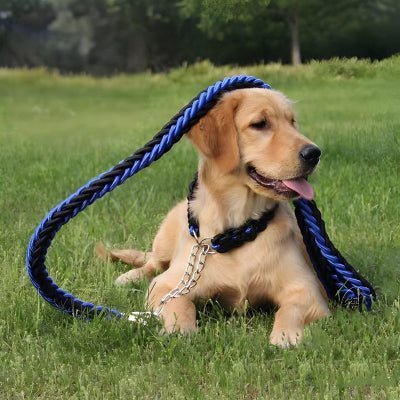 Laisse chien corde | Braided™ - Chien store