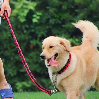 Laisse chien corde - golden retriever équipé d'un harnais et de la laisse
