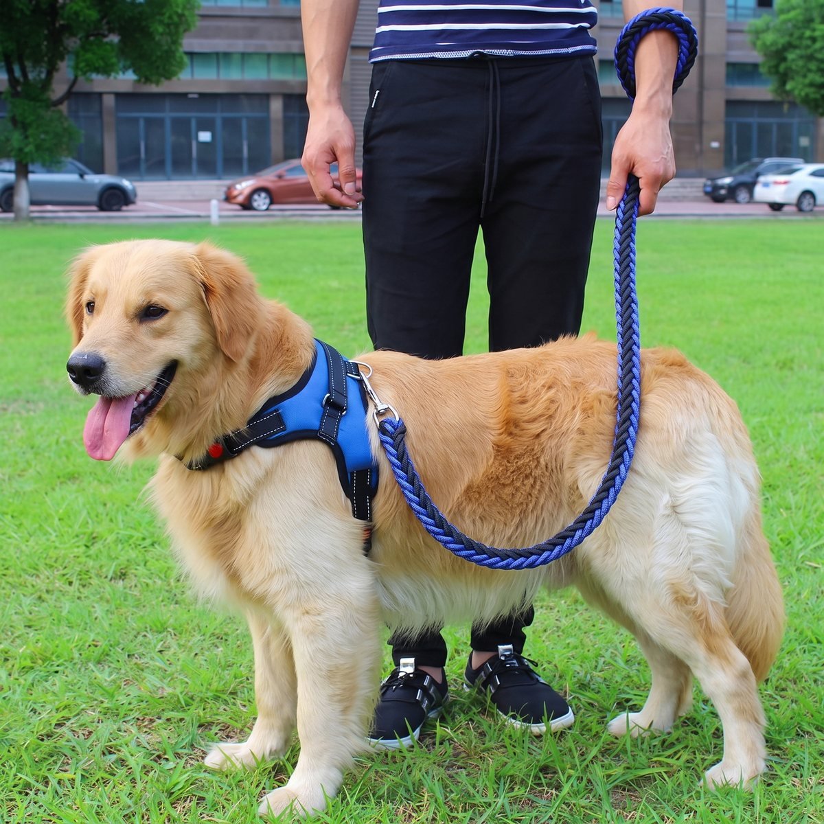 Laisse chien corde tressée 8 brins - coloris bleu, vue alternative