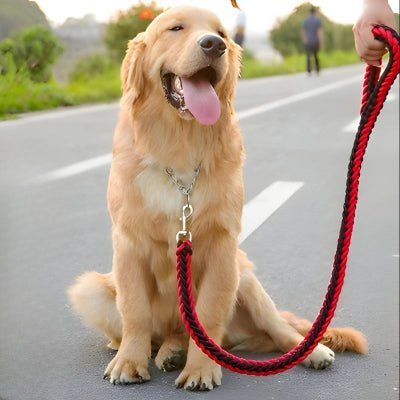 Laisse chien corde | Braided™ - Chien store