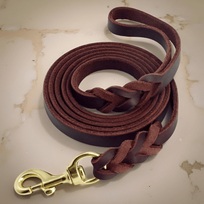 Laisse chien | cuir véritable - Chien store