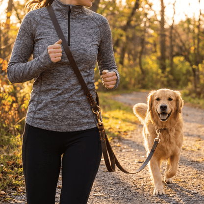 Laisse chien cuir veritable reglable FlexRange - photo produit 4
