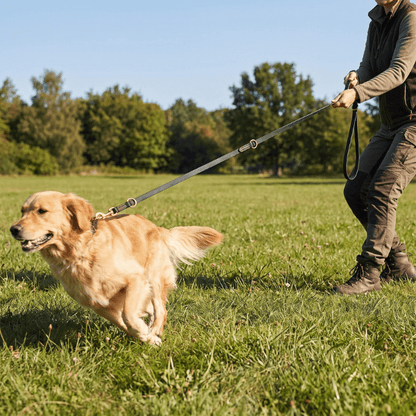 Laisse chien cuir veritable reglable FlexRange - photo produit 5