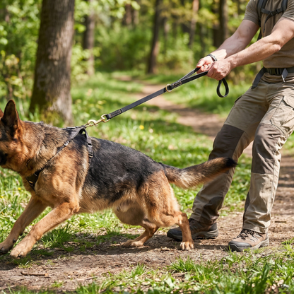 Laisse chien cuir veritable reglable FlexRange - photo produit 3