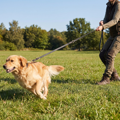 Laisse chien cuir veritable reglable FlexRange - photo produit 5