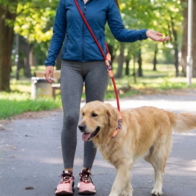 Laisse chien double rouge portée en bandoulière mains libres par une femme se promenant dans une allée de parc avec un Golden Retriever