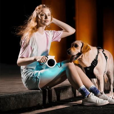 laisse chien lumineuse avec torche led, visibilite nocturne pour promenade en ville Nox™