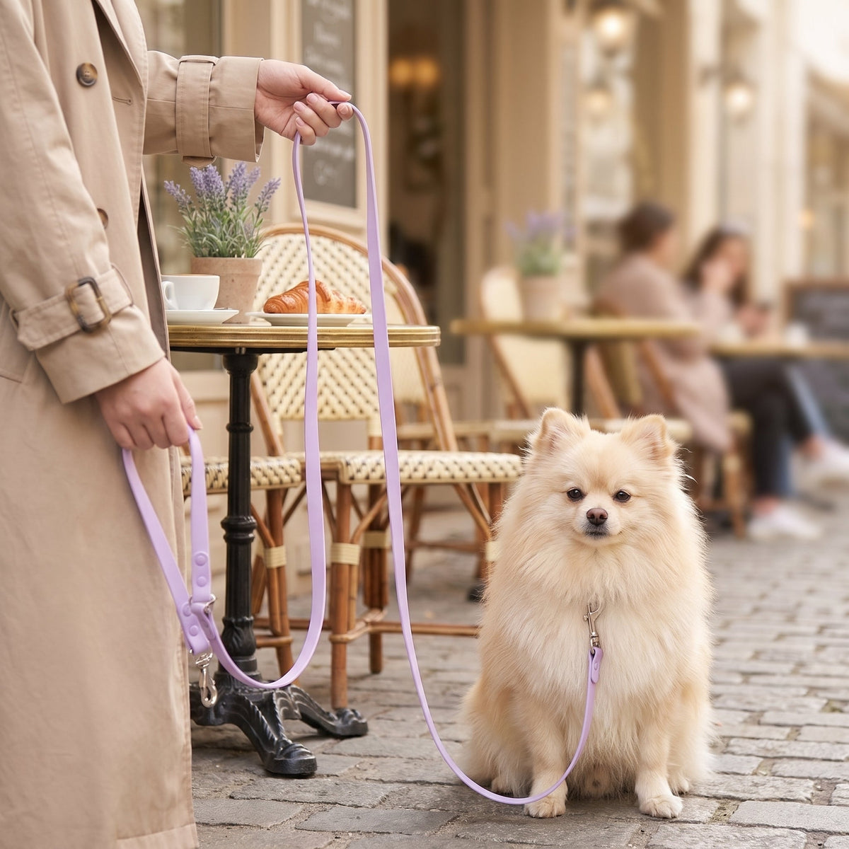 Laisse pour chien main libre multi-tâches utilisée pour promener deux chiens en même temps