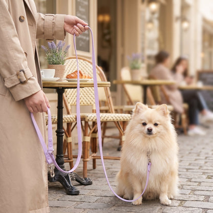 Laisse pour chien main libre multi-tâches utilisée pour promener deux chiens en même temps