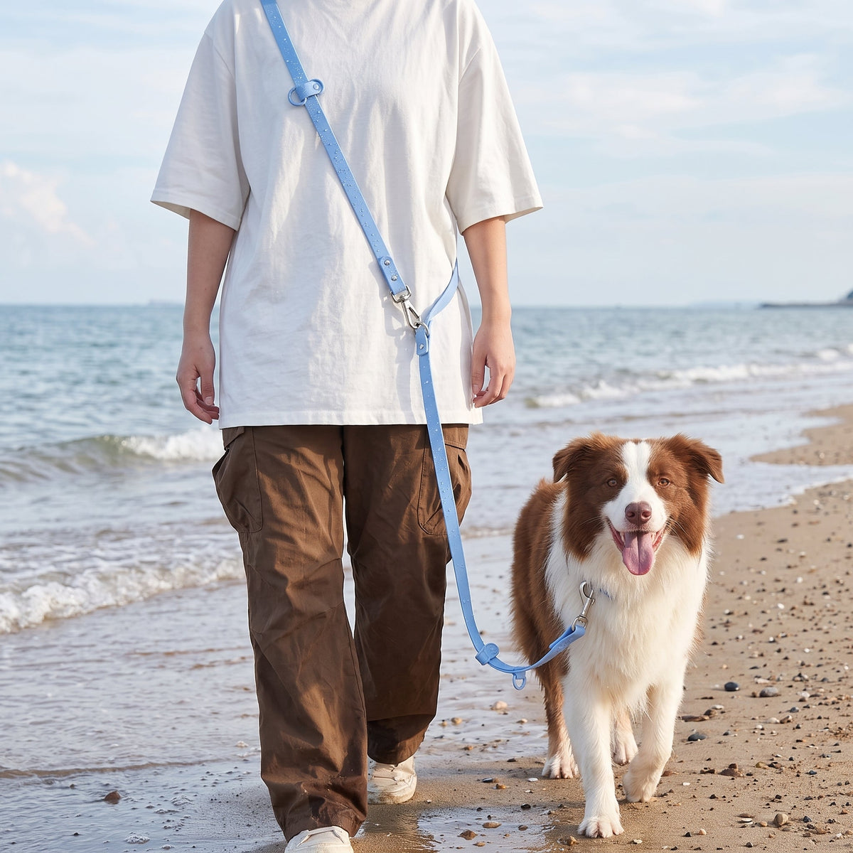 Laisse pour chien main libre multi-tâches utilisée lors d'une promenade sur la plage