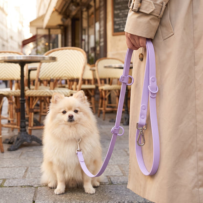 Laisse pour chien main libre multi-tâches violette utilisée en ville avec un petit chien blanc