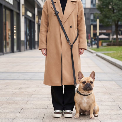 Laisse pour chien main libre multi-tâches utilisée lors d'une promenade en ville